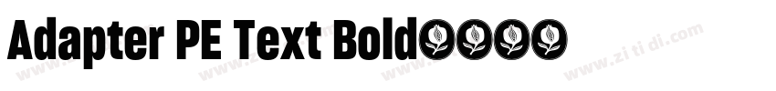 Adapter PE Text Bold字体转换